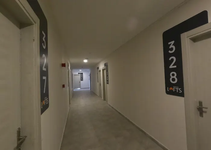 Lofts Luna 酒店 阿拉尼亚